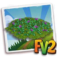 Play Areas & Ground Covers